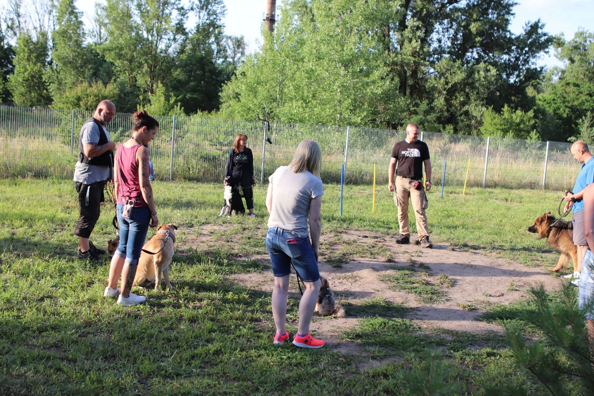 Gruppentraining auf dem Trainingsplatz mit mehreren Hunden und ihren Haltern