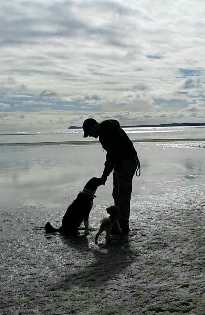 Silhouette eines Hundebesitzers, der seinem Hund am Strand vertrauensvoll die Pfote reicht
